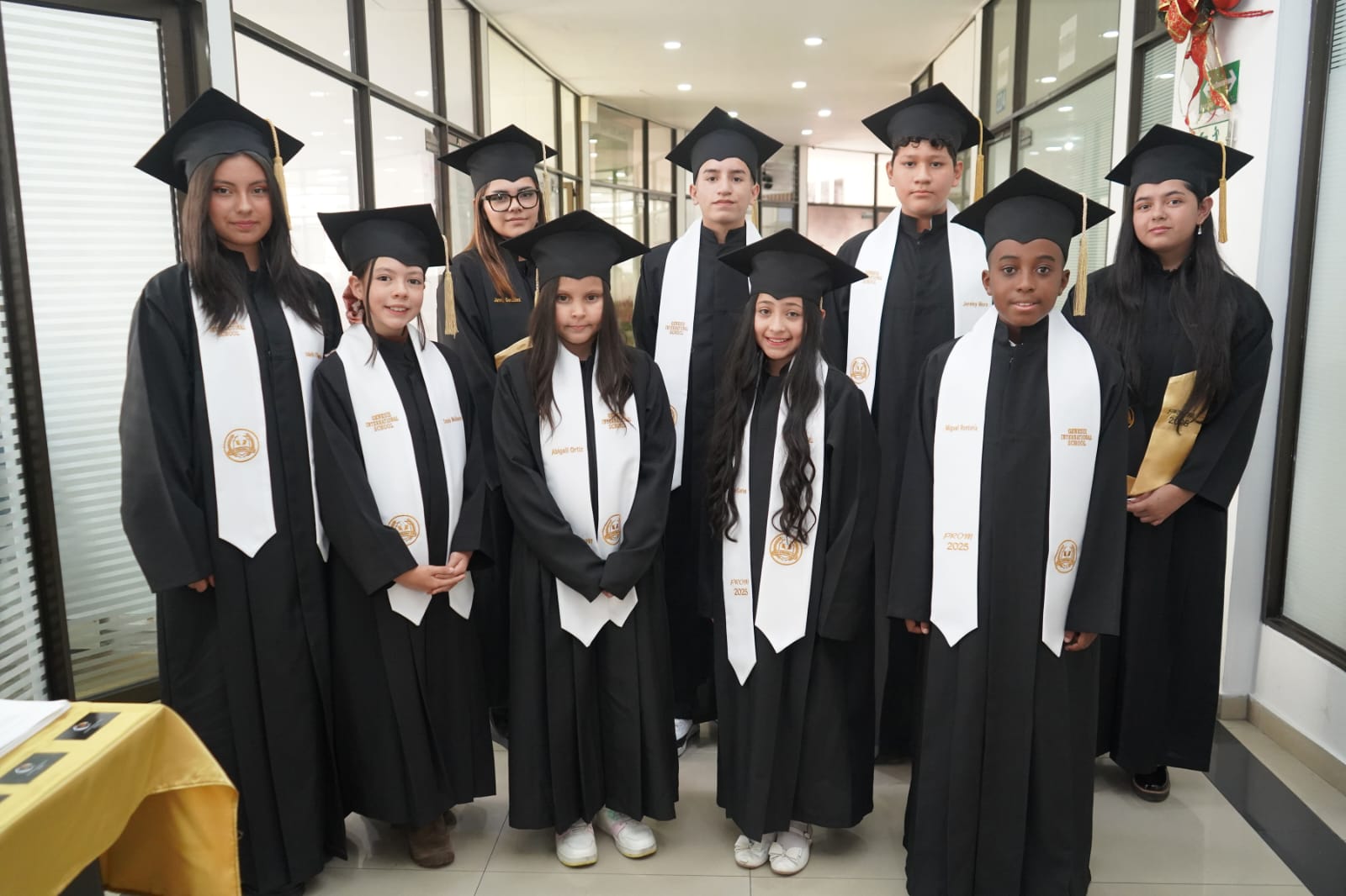 Descripción de la imagen